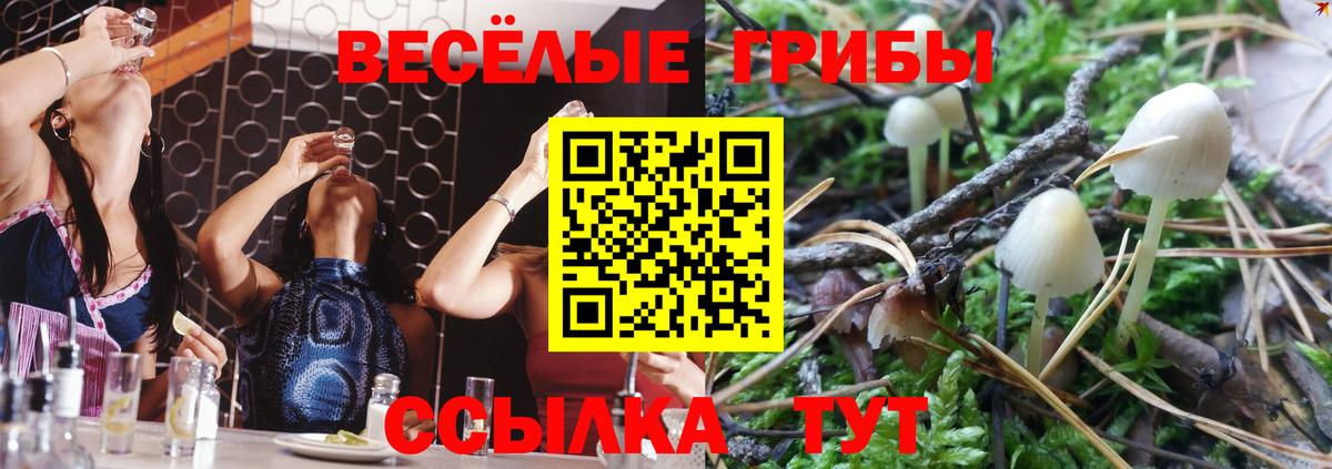 наркотики  Галлюциногенные грибы мухоморы  Галлюциногенные грибы GOLDEN TEACHER  Вход с VPN  Киров 